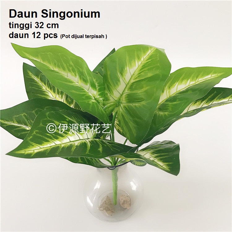 Daun Keladi 9 cabang tinggi 34cm ( Tanpa Pot )