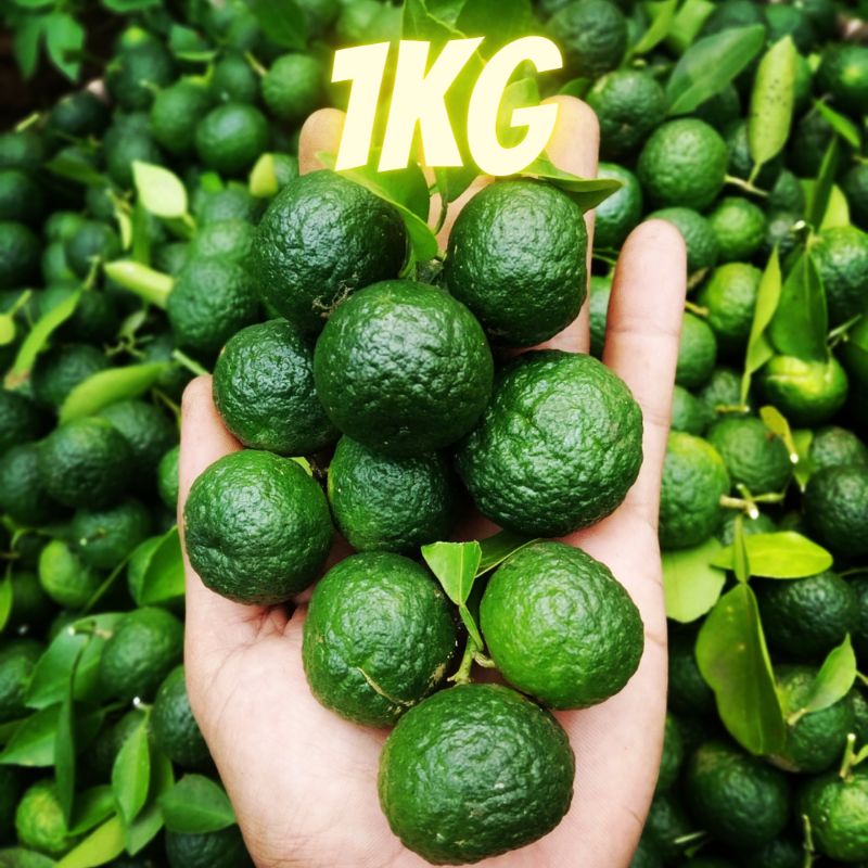 

JERUK LIMO | LIMAU 1000g