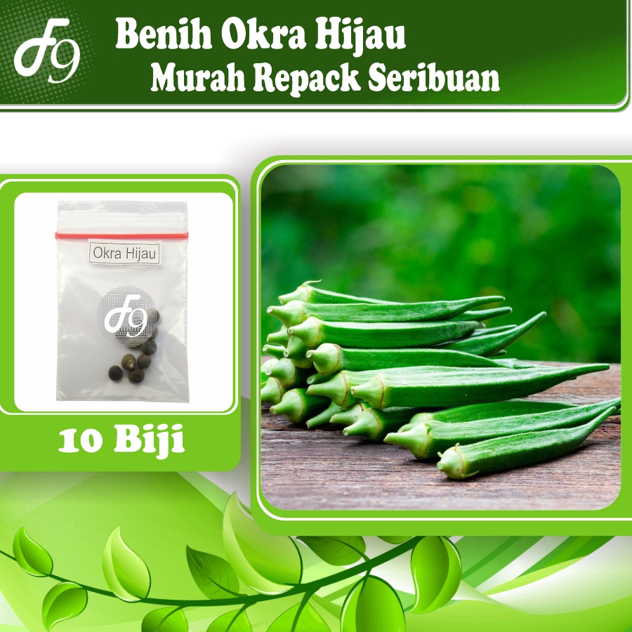 Benih Bibit Okra Hijau Murah Repack Seribuan