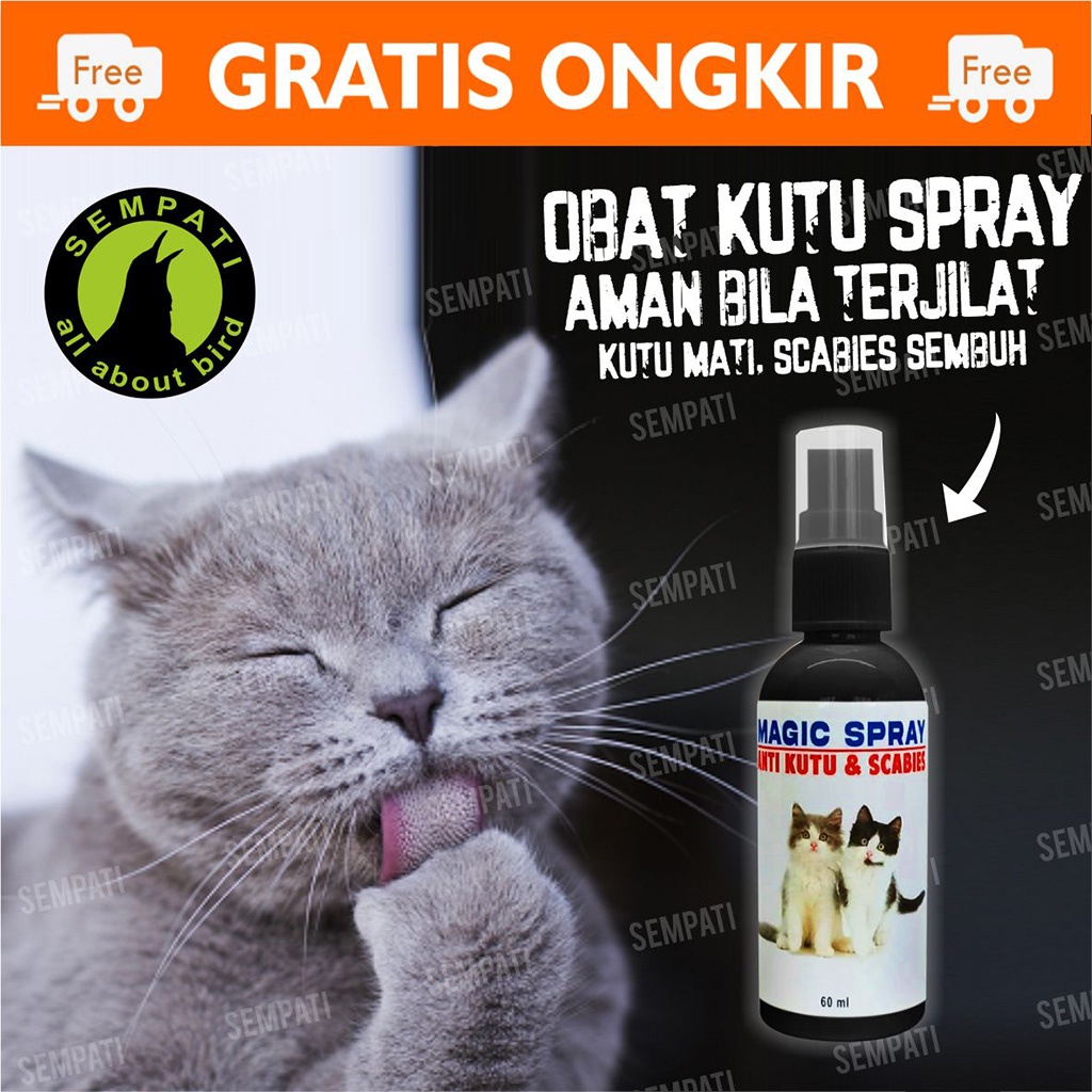 Obat Kutu Kucing Magic Spray Anti Kutu Scabies Obat Kucing Semprot Basmi Kutu Tungau Caplak Jamur Parasit Cacing Hati Scabies Abses Obat Kulit Kucing Gatal Anti Tick Flea