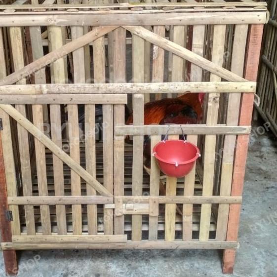 kandang bambu ayam bangkok - V.1