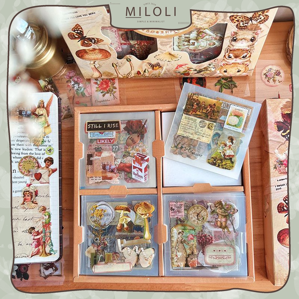 

[MILOLI] 100lembar VINTAGE PLANT ENGLISH Sticker PET DIY Scrapbook Stiker Hias Lucu in Box -B0387