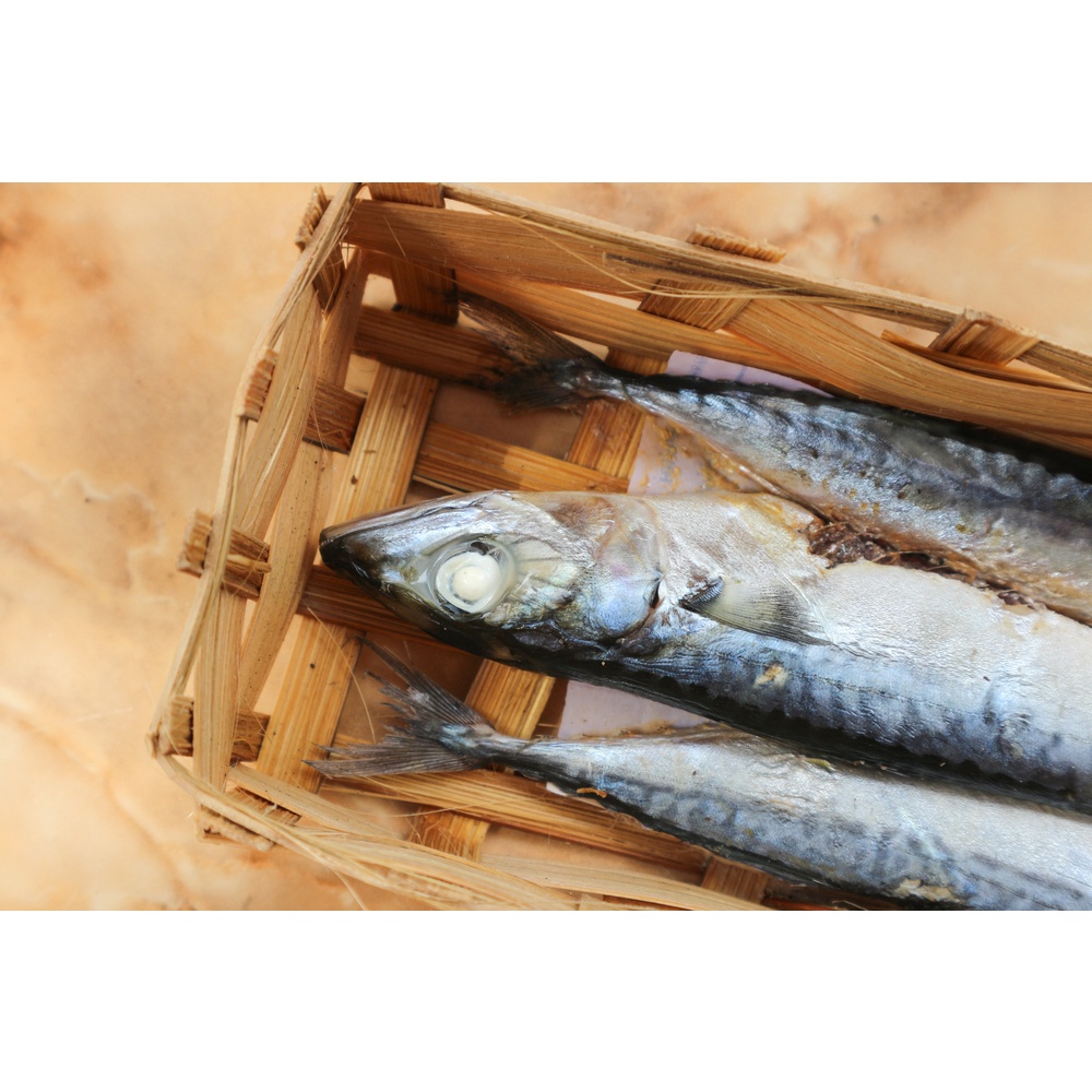 

Ikan Tongkol 100gr, Sameday Instan Delivery Jogja