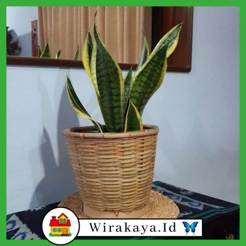 KERANJANG BAMBU Parsel Cover Pot Tempat Sampah Bambu