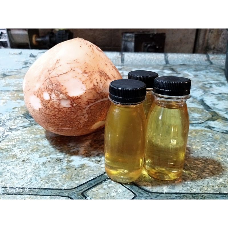 

Minyak Kelapa Kletik Kemasan Botol 85 Gram
