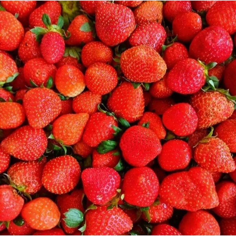 

1kg Buah Strawberry 100% Sertifikat Vegetable Murah Sehat Healthy Life Grosir Supermarket