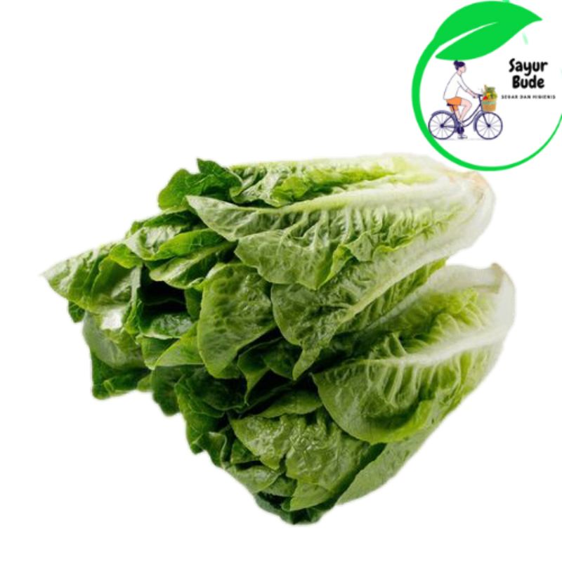 

Sayur Sawi Putih Segar - 500gr