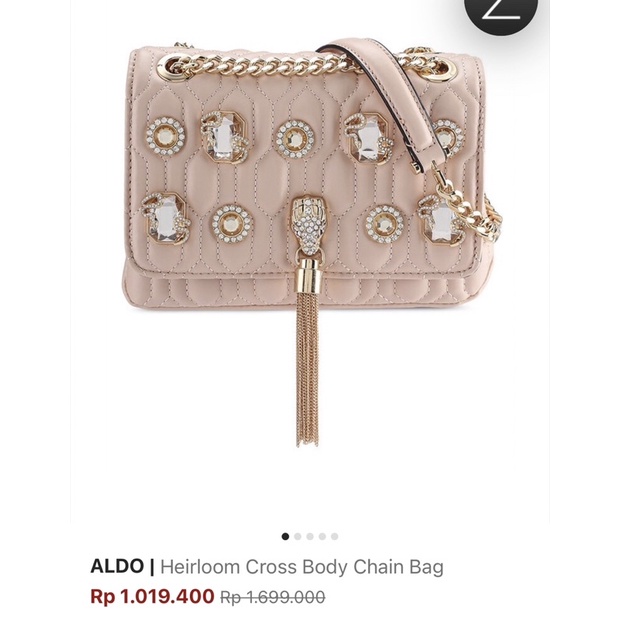 ALDO | Heirloom Cross Body Chain Bag