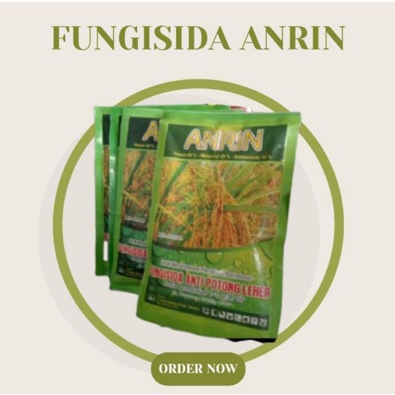 fungisida Anrin anti potong leher/anti bulai