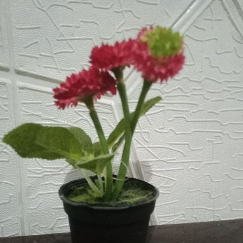 kembang bunga plastik