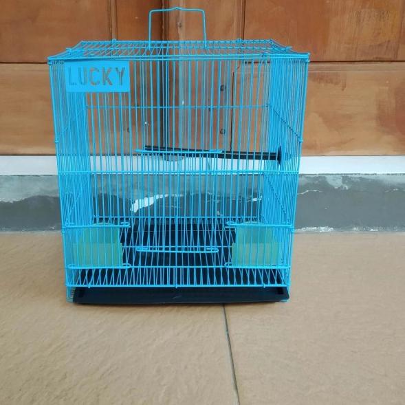 Kandang Sangkar Burung Lovebird Hamster Kecil Merk Lucky Khusus Biru - Ungu