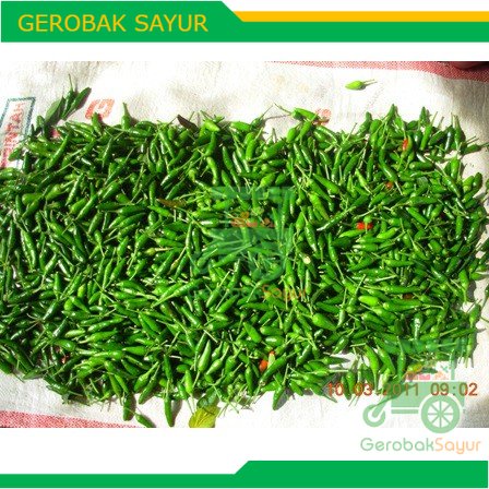 

Cabe Rawit Ijo 250 g / Cabai Rawit Hijau 250 g