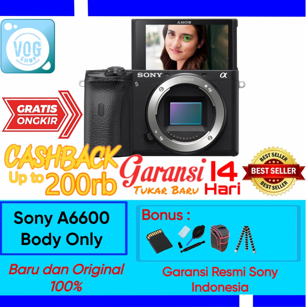 Sony A6600 - Sony A6600 Body Only - Sony Alpha 6600