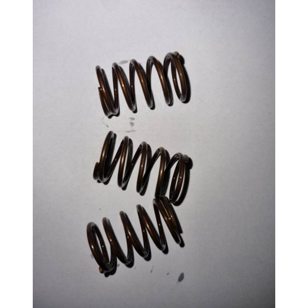 SPRING PISTON SET JET CLEANER HEAD PUMP ROBOTECH