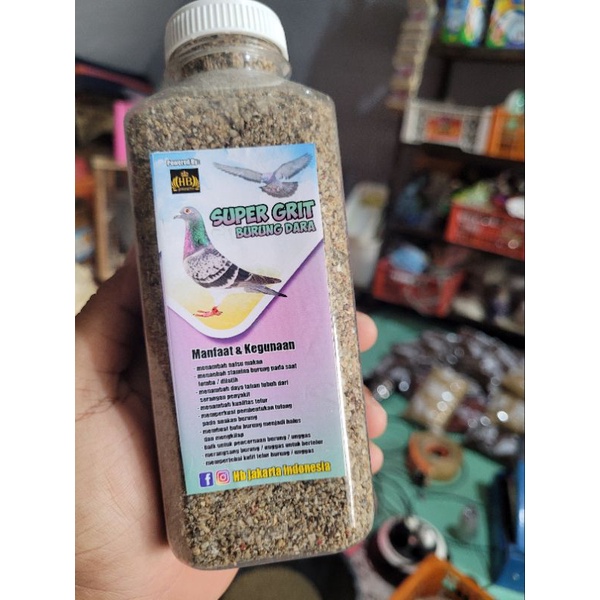 grit burung dara racikan jakarta
