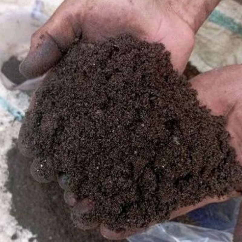 Pupuk Guano organik Kohe kelelawar murni 10 kg