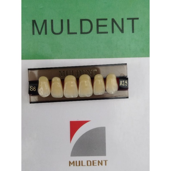 GIGI PALSU / GIGI MULDENT - DEPAN ATAS / PER BARIS ISI 6PCS / UKURAN S6 : A3.5