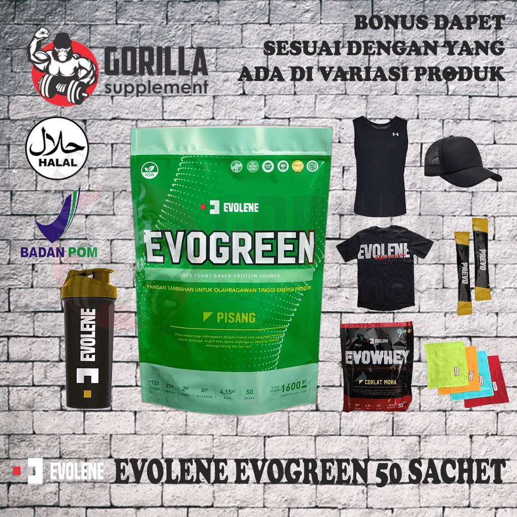 EVOLENE EVOGREEN 1600 Gram Isi 50 SACHET VEGAN PROTEIN Plant Based Vegetarian Suplement Fitness BEBAS LAKTOSA  SUSU