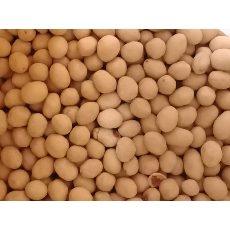 

kacang atom/kacang mayasi 1kg