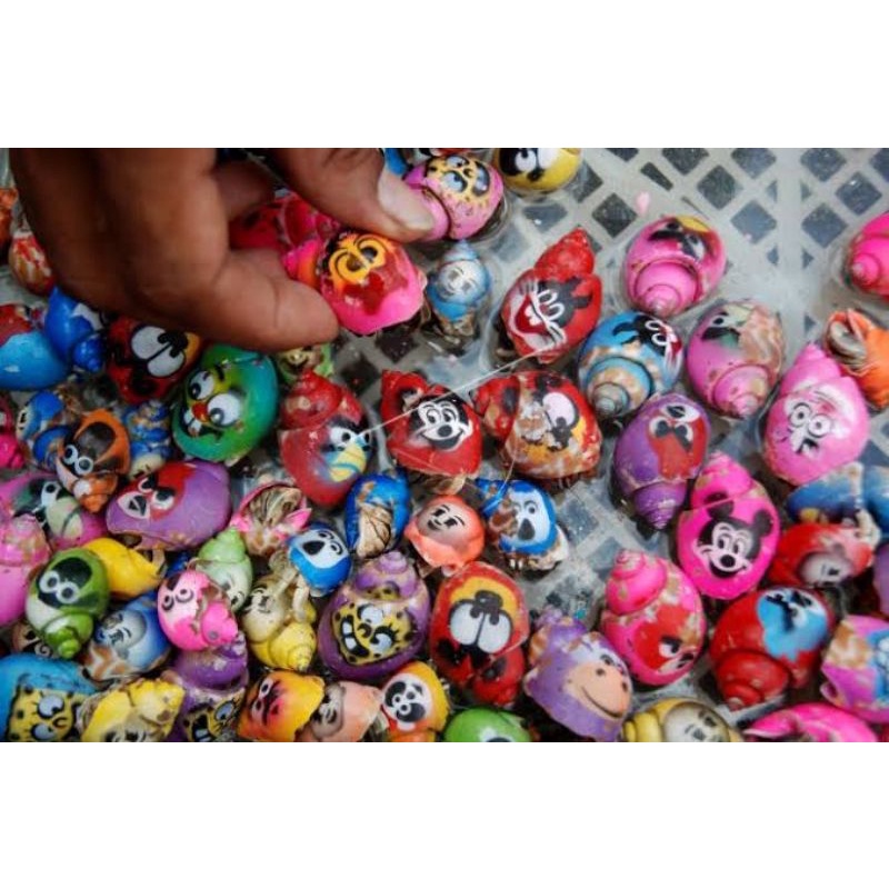 Paket kelomang warna warni isi 16 pcs, umang-umang, Yuyu rumpung