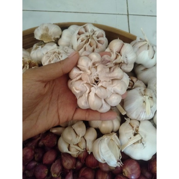 

bawang putih 1kg