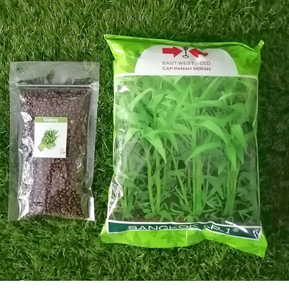 Stok Terbatas 3000 Biji - Benih Kangkung BANGKOK LP-1 - Bibit Kangkung Darat / HIDROPONIK