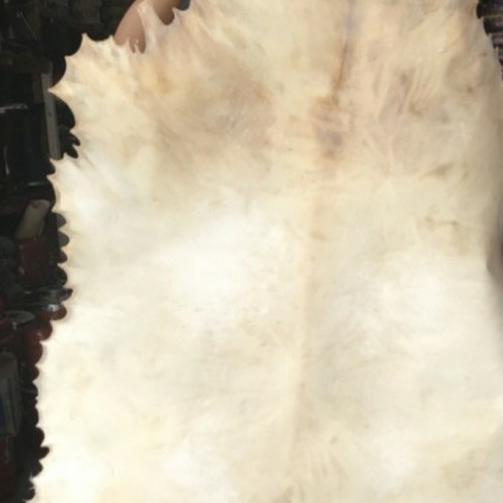 KULIT KAMBING UNTUK GENDANG BEDUG BAS HADROH