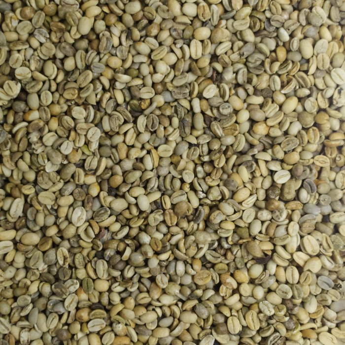 

Green Bean Arabika Flores Bajawa Natural Process / Kopi Mentah - 1 Kg