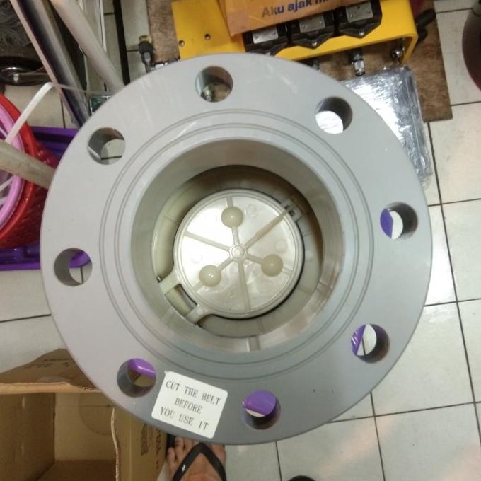 Foot Valve Flange Pvc 4" Inch