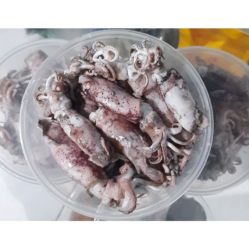 

Cumi Asin 3-6 Cm 250 Gram
