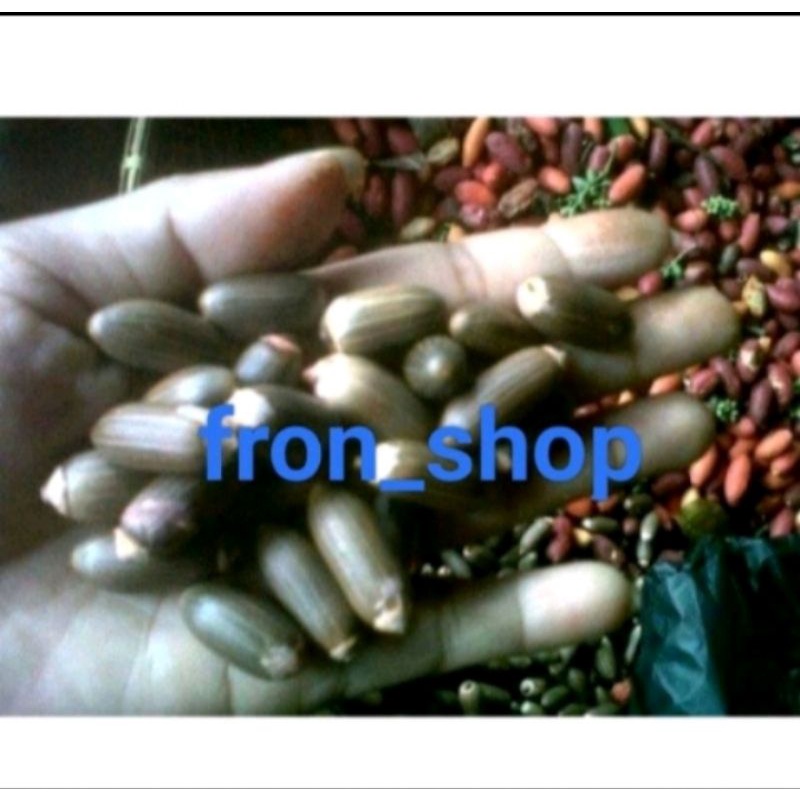 

1KG BIJI MELINJO SUPER | MELINJO BANTEN