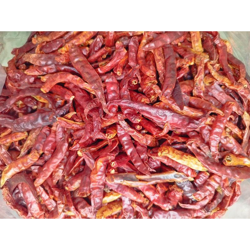 

cabe kering teza tanpa tangkai