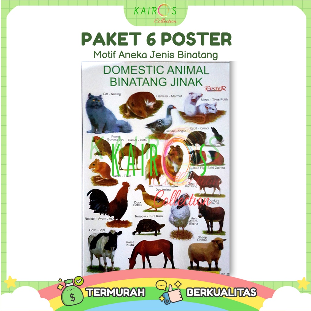 Poster Anak Edukasi Belajar Binatang Paket Isi 6 Pcs