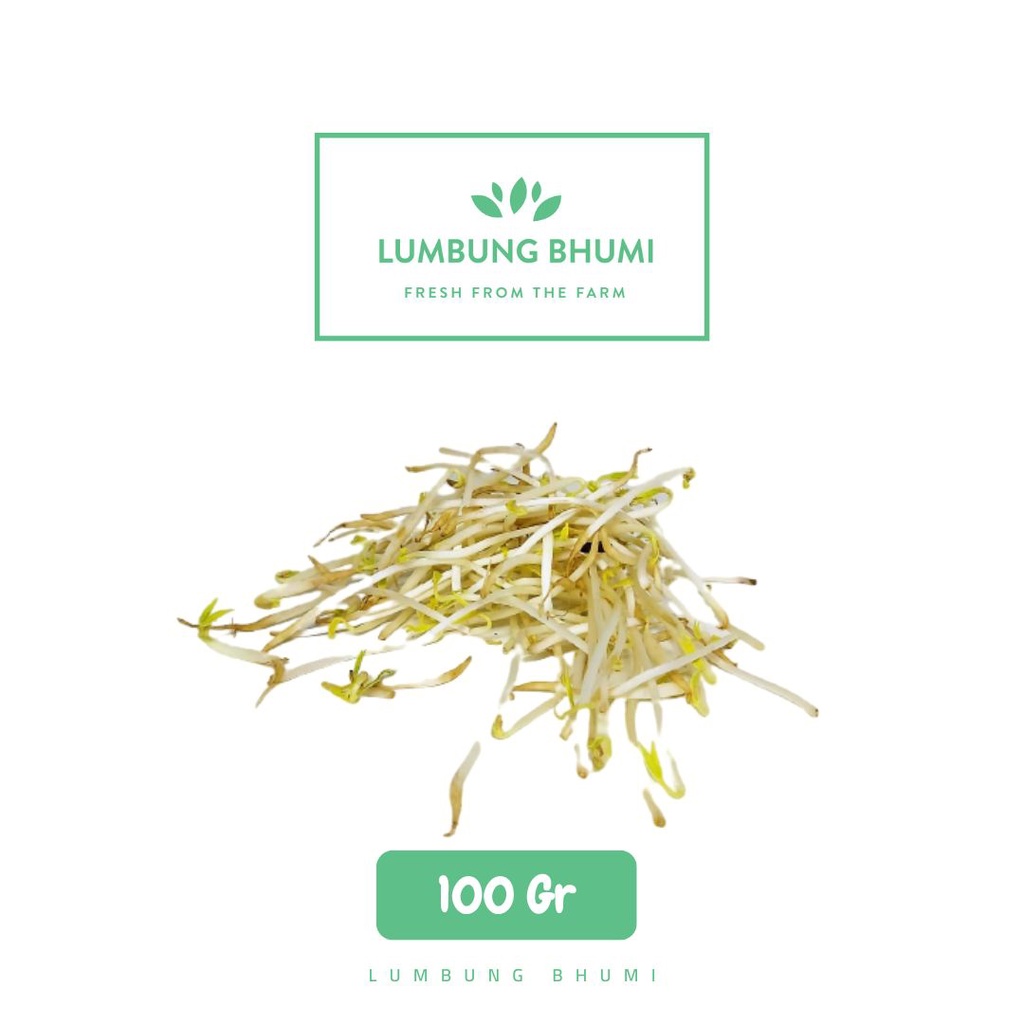 

Lumbung Bhumi - Toge / Tauge Besar 100 Gr ( Sayur Curah )