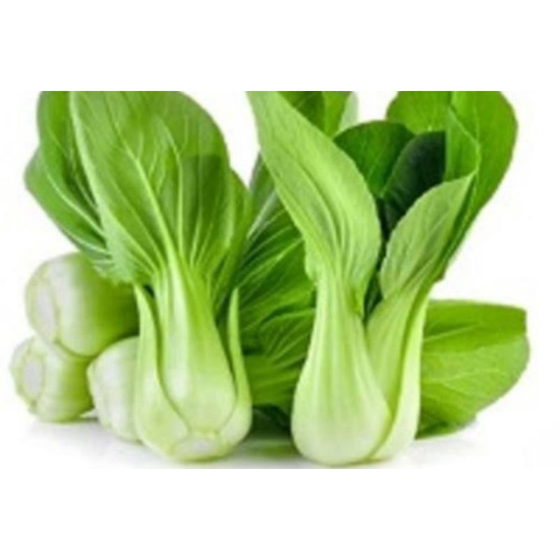 

sawi daging/pakchoy 250gram