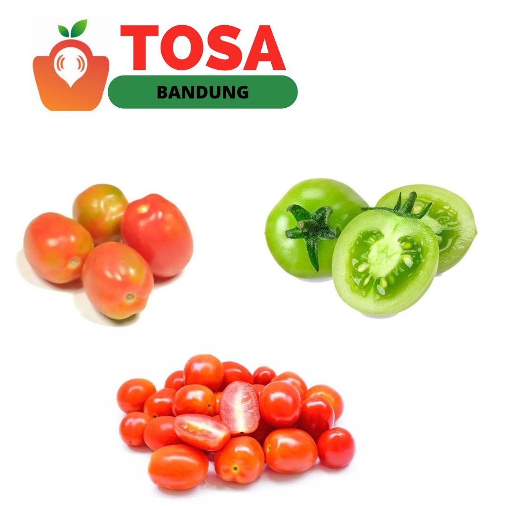 

Tomat Merah/tomat hijau