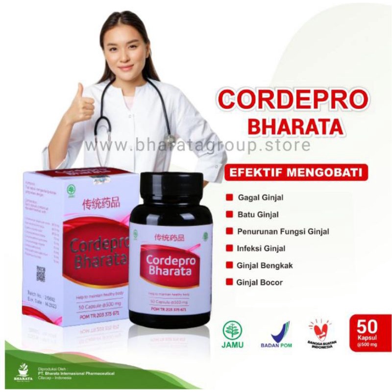 Cordepro Bharata | Obat ginjal | Obat Gagal Ginjal | Obat Batu Ginjal | Obat Gagal Ginjal Tanpa Cuci