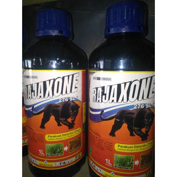 rajaxone 276sl parakuat herbisida 1 liter