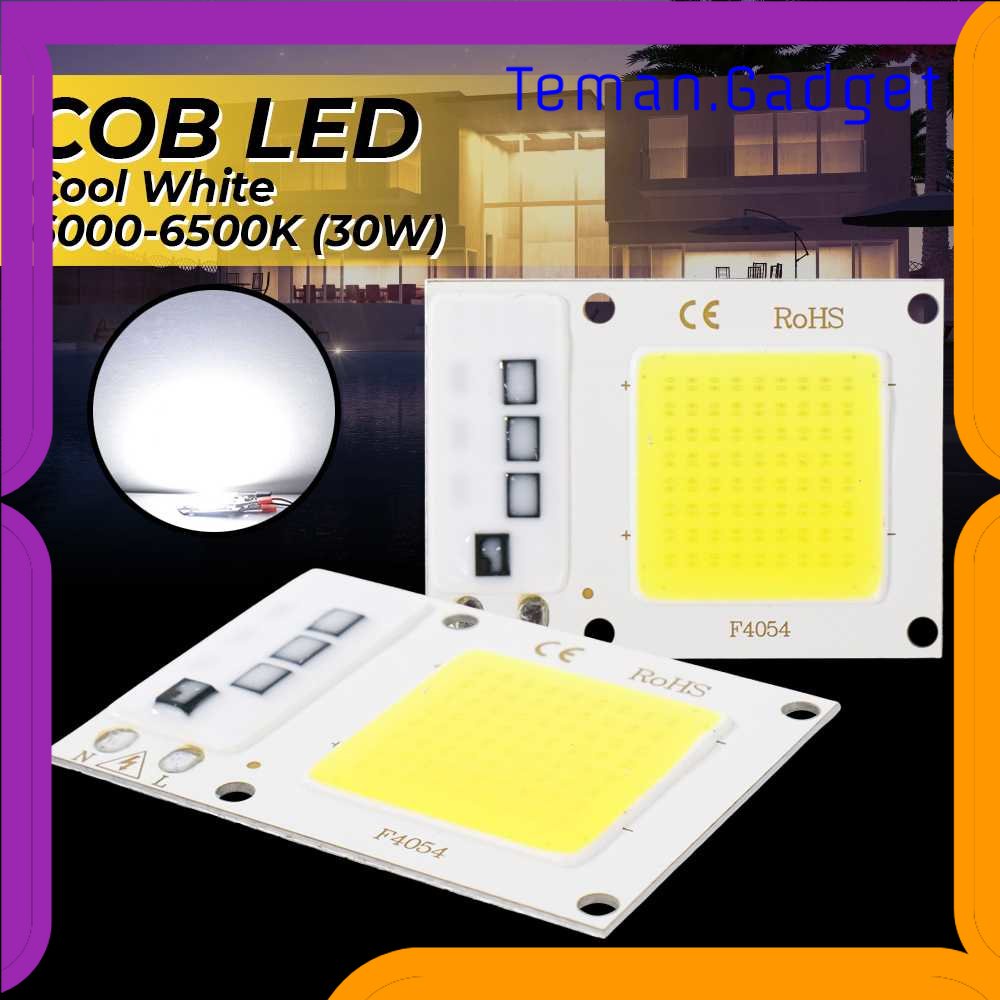 TG-LMP Arcomm Chip Lampu COB LED 220V 30W Cool White 6000-6500K - A-22