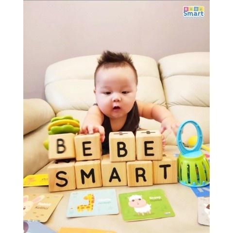 homimart I BEBE SMART MAINAN RATTLE BABY RATTLES &amp; FLASH CARD SET