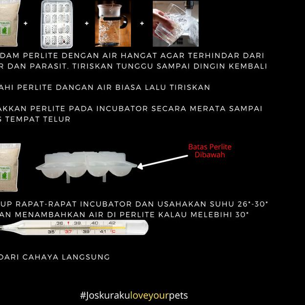 Inkubator Reptil Telur Incubator Egg Gecko Ular Kura Kadal Reptile Egg - Incubator saja