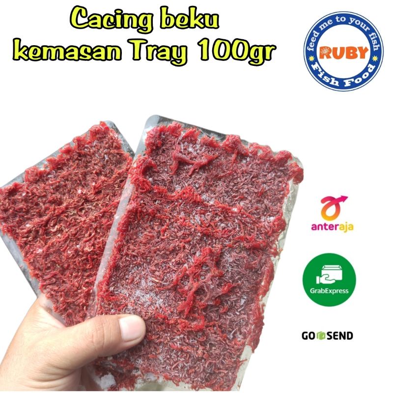 CACING BEKU RUBY 100 GRAM / CACING BEKU BERSIH / CACING BEKU MURAH / CABEK / CACING BEKU