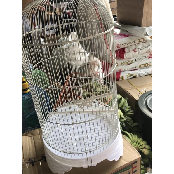 KANDANG LOVEBIRD SANGKAR LOVE BIRD MERK BOOM