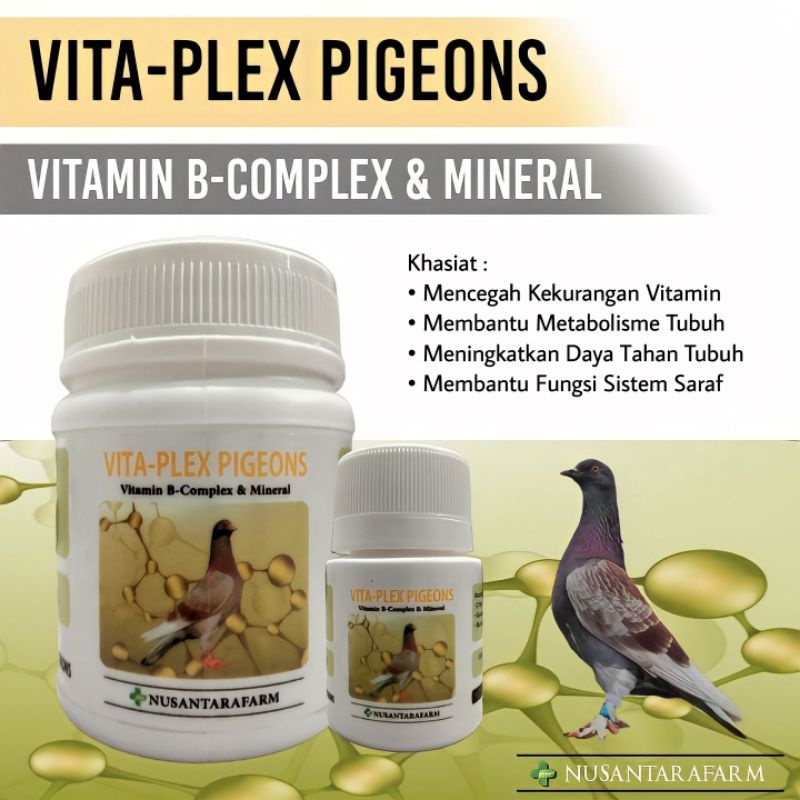 Vita plex pigeons vitamin b-complex merpati