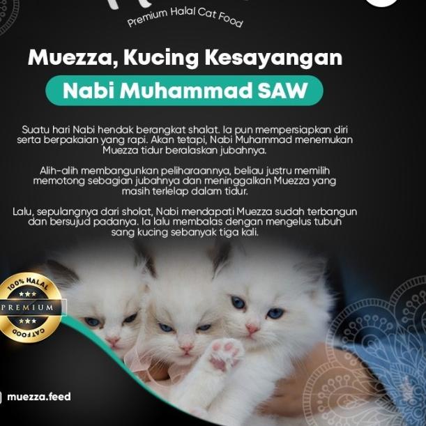 Makanan Kucing Kering - Tuna Flavor - Muezza Cat food