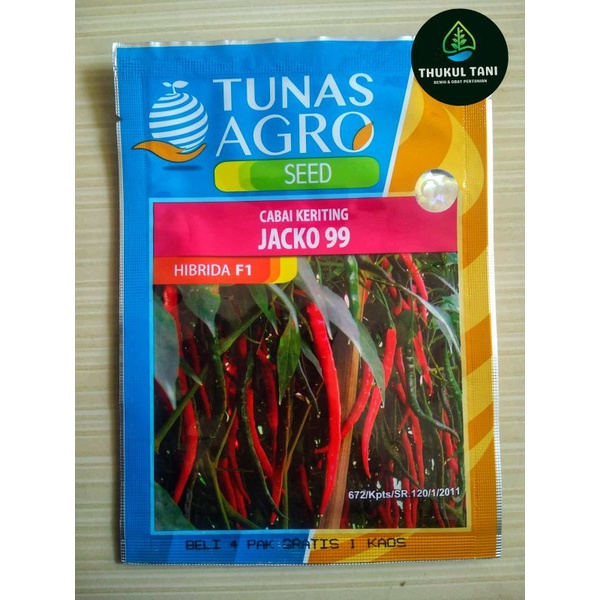BENIH CABAI KERITING JACKO 99 ISI 10 GRAM - TUNAS AGRO SEED