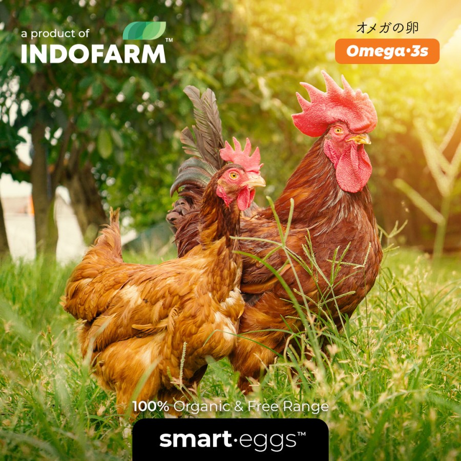 

LOLA Langsung Order Langsung Antar Telur Ayam Omega 3 Organik INDOFARM Smart Eggs 1 Box Foam 20