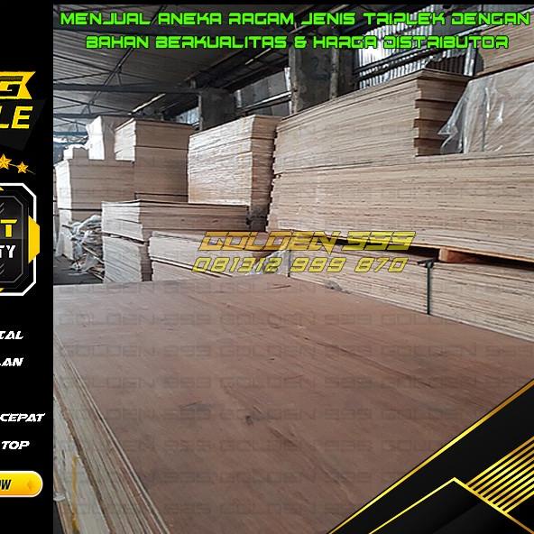 Triplek 3mm sungkai pelikan / /  - Sungkai pelikan