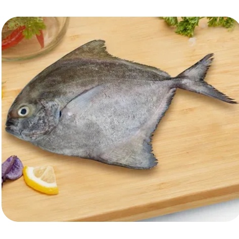 

IKAN DORANG PUTIH SEGAR - 500 gram