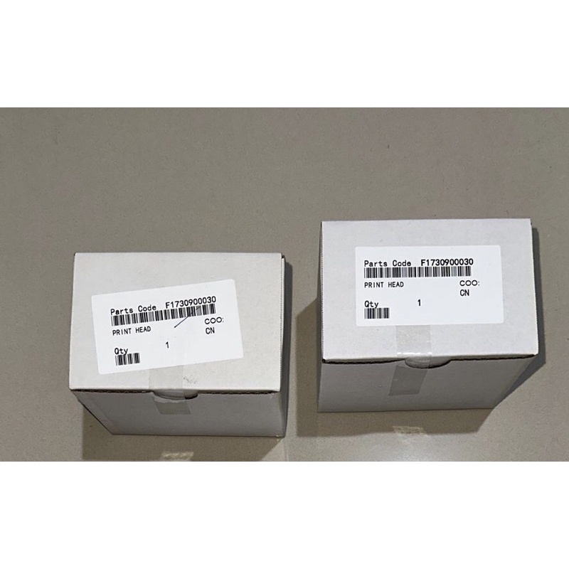 print head L1800 original epson